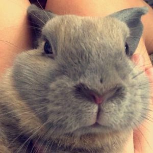 Meet your Posher, Kathryn